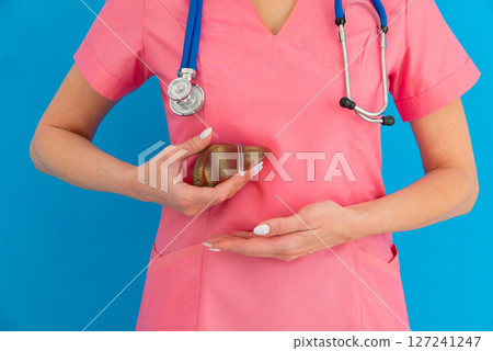 Image of a doctor with model liver above his hands. Concept of healthy liver and donation. Image of a doctor with model liver above his hands. Concept of healthy liver and donation. 127241247
