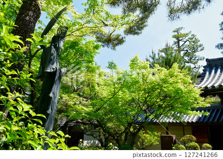 The dazzling fresh greenery of Reiun-in, a sub-temple of Myoshin-ji Temple in Kyoto The dazzling fresh greenery of Reiun-in, a sub-temple of Myoshin-ji Temple in Kyoto 127241266