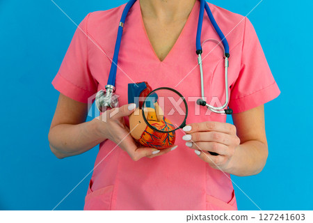 Doctor consult patient on laptop with anatomical model of human heart Cardiologist supports the heart Online doctor appointment. 127241603