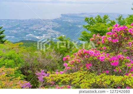 （長崎縣）雲仙仁田嶺第二展望台的宮山霧 127242080