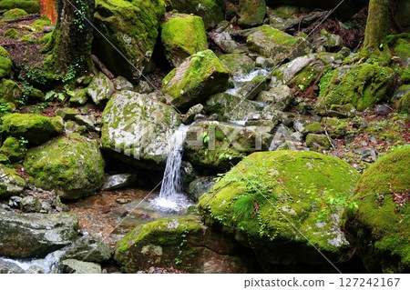 Water source Water source 127242167