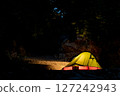Alone in the Wild 127242943