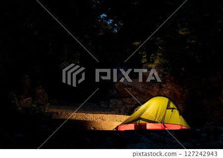 Alone in the Wild 127242943
