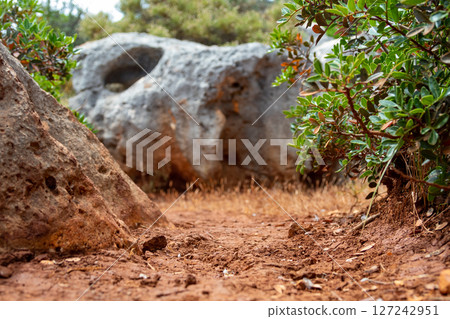 Path of the Earth 127242951