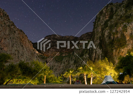Starry Night Over Mountain Canyon Campsite with Palm Trees 127242954