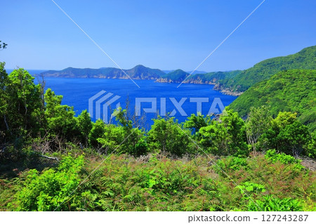[Ehime Prefecture] Clear skies at Kashima (Takamo Cape) 127243287