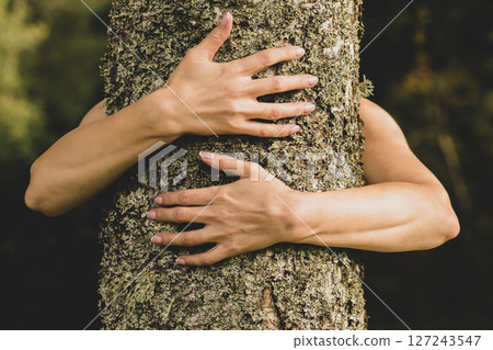 Woman hands hugging birch tree 127243547