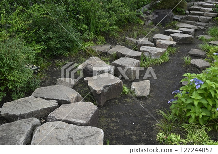 下北雨水花園廣場 下北雨水花園廣場 127244052