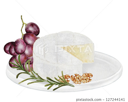 Cheese watercolor on a plate. Hand drawn piece of soft cheese with grapes, walnuts and rosemary. White brie or camembert Italian, French soft cheese. Exquisite snack for wine. Clip art food realism 127244141