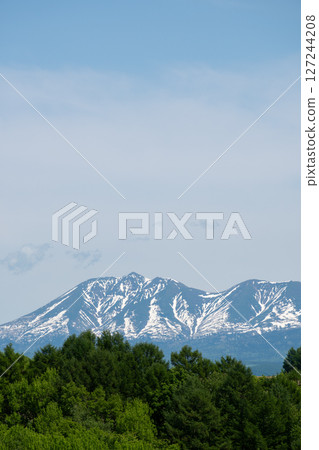 初夏的綠色森林和白雪皚皚的山頂 127244208