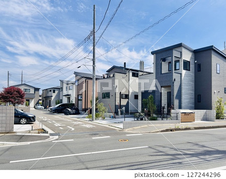 新建獨立式住宅出售 - 單坡式住宅 新建獨立式住宅出售 - 單坡式住宅 127244296