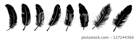 8 Black Feather Silhouettes 127244368