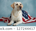 Patriotic Pup A dignified Labrador Retriever, draped in an American flag bandana, sits attentively, embodying the spirit of national pride and unity. 127244417