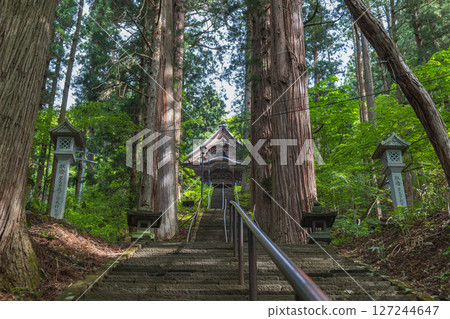 Nagano Togakushi Shrine Hōkōsha Shrine stone steps 127244647