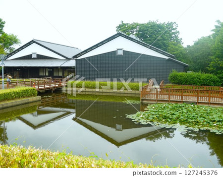 納巴塔城公園池塘中倒映的建築物 127245376