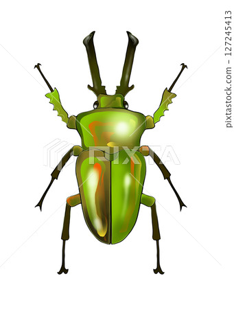 Realistic illustration of a rainbow stag beetle 127245413