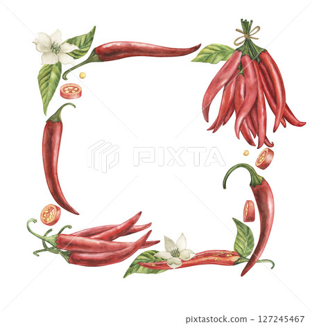 A square frame of red hot chili peppers with flowers, leaves, and spices. The watercolor illustration with fruits, pieces, and seeds of cayenne pepper is hand drawn in a botanical style. For packaging A square frame of red hot chili peppers with flowers, leaves, and spices. The watercolor illustration with fruits, pieces, and seeds of cayenne pepper is hand drawn in a botanical style. For packaging 127245467