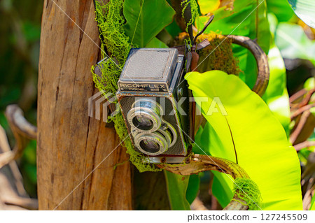 Old equipment. 127245509