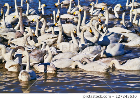 簡短的休息 127245630