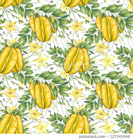 Exotic starfruit slices, leafy branches, and curling vine watercolor illustration isolated background. Star fruits composition for tropical designs, kitchenware, packaging, and wallpaper Exotic starfruit slices, leafy branches, and curling vine watercolor illustration isolated background. Star fruits composition for tropical designs, kitchenware, packaging, and wallpaper 127245848