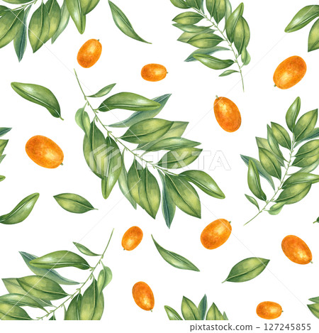 Juicy kumquats and leafy branches watercolor illustration isolated background. Orange citrus berries and leaves ornate for kitchen textiles, food packaging, restaurant decor, home accessories. Juicy kumquats and leafy branches watercolor illustration isolated background. Orange citrus berries and leaves ornate for kitchen textiles, food packaging, restaurant decor, home accessories. 127245855