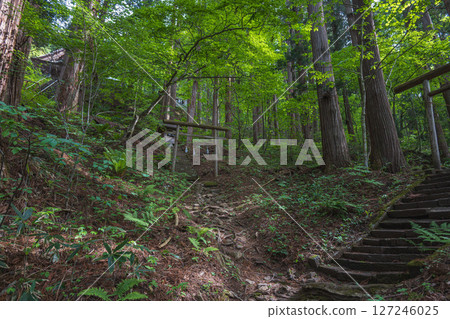 長野戶隱神社寶光社天滿宮及森林三社 127246025