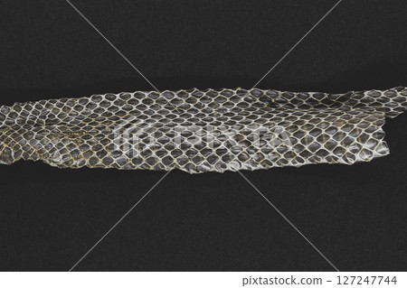 Old dropped snake skin 127247744
