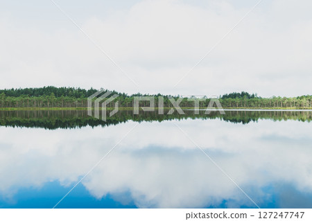 Wild lake in the middle of the woods Wild lake in the middle of the woods 127247747