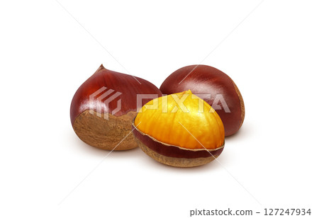 Chestnut illustration realistic Japanese chestnut 127247934