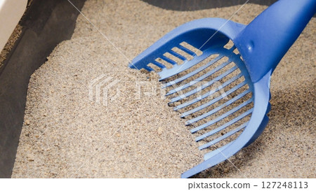 Blue Scoop Removing Clumping Litter from the Litter Box. Cat Care and Pet Hygiene Concept. 127248113