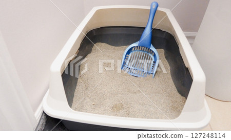 Cat Litter Box with Scoop, Maintaining Pet Hygiene and Cleanliness at Home, Close-up 127248114
