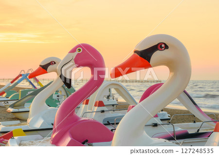 Bird shape water paddle boats on the beach Bird shape water paddle boats on the beach 127248535