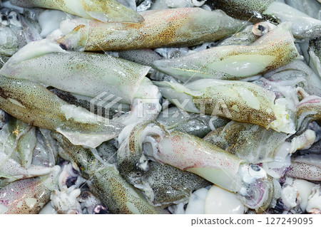 Squids background in fish market 127249095