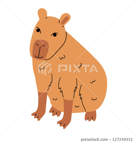Cartoon flat style capybara sitting alone, isolated on white. 127249352