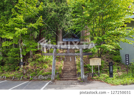 長野縣戶隱神社火之禦子社門前的風景 127250031
