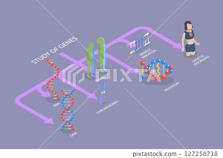 3D Isometric Flat Vector Illustration of Genetics And Gene Learning, Diagram Outlining Various Genetic And Gene Learning Subjects Within The Field Of Genetics. 127250718