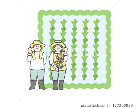 稻田和一位老年農民的插圖 稻田和一位老年農民的插圖 127250989