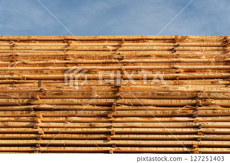 Bamboo is stacked and arranged neatly against a bright blue sky, highlighting traditional construction methods in a serene environment Bamboo is stacked and arranged neatly against a bright blue sky, highlighting traditional construction methods in a serene environment 127251403