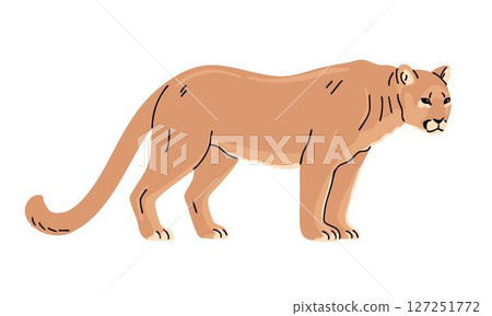 Puma is a wild animal from the cat family 127251772
