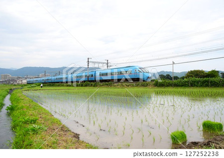 Odakyu 60000 series MSE train running in the middle of rice-growing season Odakyu 60000 series MSE train running in the middle of rice-growing season 127252238