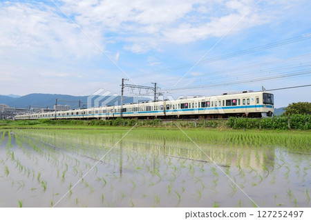 行駛在稻田中的小田急8000系列列車 127252497