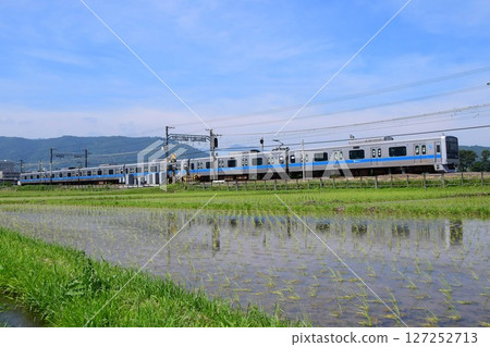 Odakyu 3000 series train traveling through rice paddy fields Odakyu 3000 series train traveling through rice paddy fields 127252713