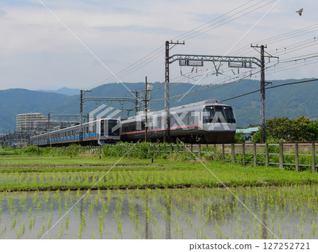 小田急30000系列EXEα和3000系列在稻田中交匯 小田急30000系列EXEα和3000系列在稻田中交匯 127252721