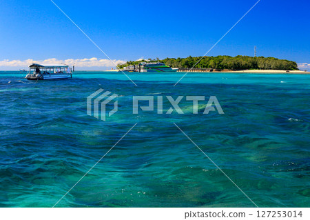 海綠島 127253014