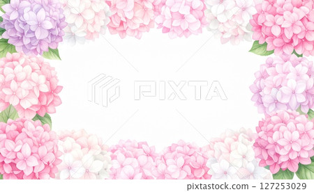 粉紅色繡球花水彩畫框 4 127253029