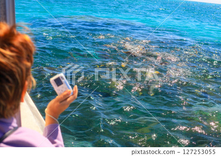 The water surface sparkles as fish are fed 127253055
