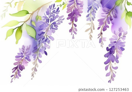 Wisteria watercolor painting on a white background 127253463