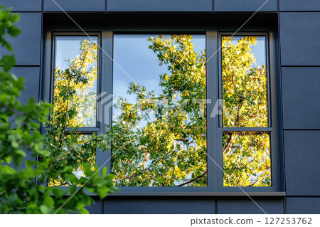 Dark graphite facade of a house with a clean window reflecting green trees. Close-up of a window opening with clean glass and dark frames. 127253762