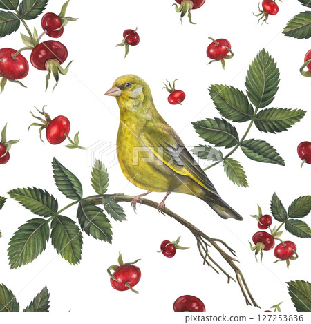 Seamless pattern of watercolor illustrations greenfinch bird and rosehip leaves, berries dog rose on white background hand drawn Seamless pattern of watercolor illustrations greenfinch bird and rosehip leaves, berries dog rose on white background hand drawn 127253836