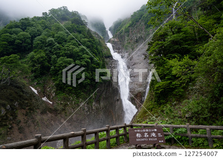 Fresh greenery and Japan's tallest waterfall, Shomyo Falls Fresh greenery and Japan's tallest waterfall, Shomyo Falls 127254007